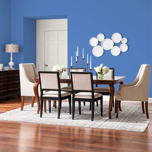 Cornflower blue best sale paint