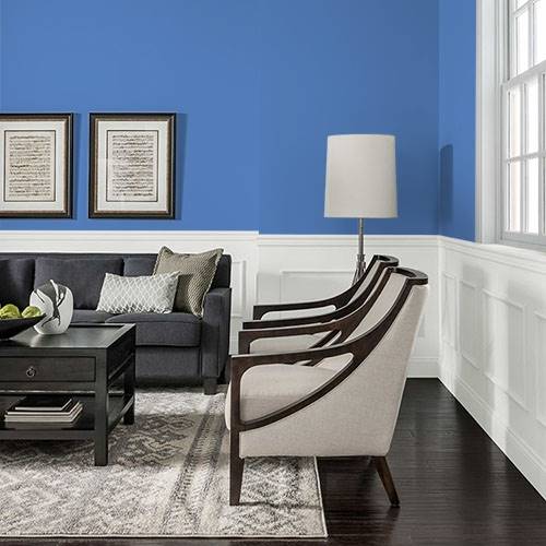 Cornflower blue best sale paint